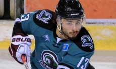 Экс-форвард «Бейбарыса» и «Астаны» сыграет против «Арлана» на Континентальном Кубке