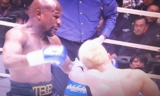 Видео легкого нокаута Мэйвезера звезды ММА после его победы на «нефартовой» арене Головкина