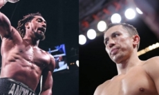 Андраде бросил вызов Головкину