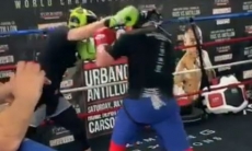 Казахстанский боксер показал видео со спарринга с экс-чемпионом мира