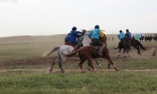 Подведены итоги чемпионата Казахстана по национальным видам конного спорта
