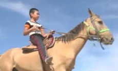 Лошадей адайской породы готовят к международным соревнованиям