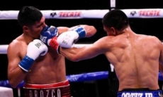 Бой за звание претендента на титул WBA завершился тотальным уничтожением. Видео трех нокдаунов и нокаута