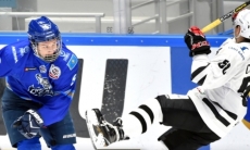 «Снежные Барсы» обыграли «Кузнецких Медведей» на старте турнира в Новосибирске