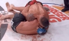 Непобежденный украинец «задушил» американца с 21 победой на турнире Bellator 225. Видео