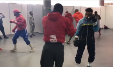Титулованные кубинцы помогают казахстанским боксерам готовиться к чемпионату мира-2019