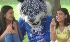 Видео посещения маскота «Барыса» фестиваля яблок «Алма fest»