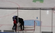 Даже Барсик помогал. Матч КХЛ в Алматы был прерван на 10 минут