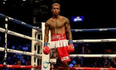 В США оценили вероятность боя Головкина с чемпионом мира WBC