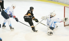 Листки хоккейного календаря. Недели №15-16. 9-22 декабря Сенсационная «Астана», несчастный «Темиртау»