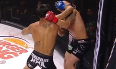 Дебютанта жестоко нокаутировали локтями на турнире Bellator. Видео