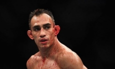 Новый соперник? У Фергюсона раскрыли планы на UFC 249 после отказа Хабиба драться