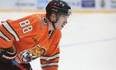 Четыре игрока приняли квалификационные предложения конкурента «Барыса» на Востоке