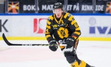 Клуб КХЛ после подписания форварда «Барыса» усилился игроком сборной Швеции
