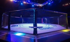 Стало известно, когда откроется «Бойцовский остров» UFC