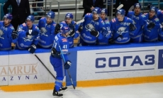 У «Барыса» появился новый зарубежный кандидат в главные тренеры