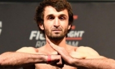 Боец UFC поделился видео, на котором лицо Магомедшарипова приделано к телу собаки. Видео