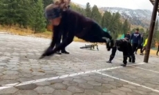 Юлия Галышева показала оригинальное упражнение на координацию. Видео