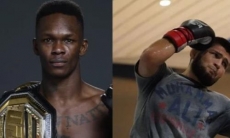 «Невозможно осознать». Ветеран UFC сравнил мастерство Адесаньи и Хабиба