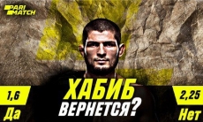 Вернется ли Хабиб, чтобы провести 30-й бой в карьере? Эксперты дали свой прогноз 