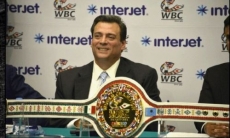 «Набрасываются, не изучив». Президент WBC ответил на критику по поводу создания новой весовой категории