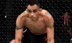«Ты г**нюк». Тони Фергюсон бросил дерзкий вызов экс-чемпиону Bellator