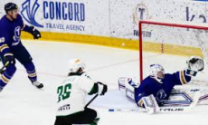 Видеообзор матча чемпионата РК «Торпедо» — «Бейбарыс» 1:0