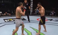 В одну калитку. UFC опубликовал статистику боя Морозов — Нурмагомедов