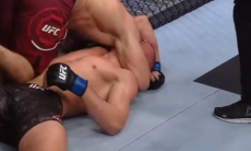 Друг Хабиба Нурмагомедова досрочно победил британского файтера в UFC. Видео