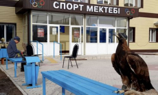 Побеждают на мировых аренах: как сельская спортшкола в Казахстане выпускает чемпионов