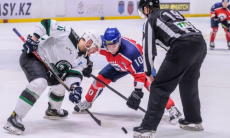 Листки хоккейного календаря. Неделя №20. 15-21 марта. Три серии всухомятку и заруба «волков» с «мамлюками»