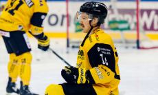 КХЛ сообщила о новом легионере «Барыса» и других трансферах в чемпионате