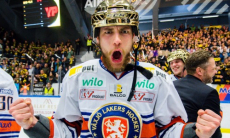 Вратарский родственник, несостоявшийся работник немецкого зоопарка и «сенатор» в отставке. Кого уже успел подписать «Барыс» в межсезонье КХЛ