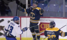 Усилит команду? Представлено видео игровых действий канадского новичка «Барыса»