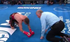 Непобежденный боксер побывал в нокдауне и красиво нокаутировал соперника. Видео