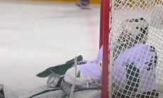 Видеообзор матча чемпионата РК «Сарыарка» — «Бейбарыс» 4:3 ОТ