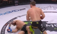 Бой турнира Bellator завершился красивым нокаутом в первом раунде. Видео