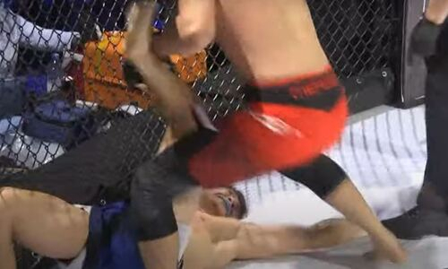 Казахстанский боец за 48 секунд «уничтожил» узбека на турнире по MMA. Видео