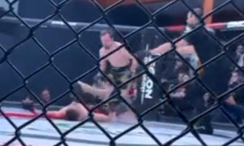 Видео удивительного нокаута. Боец MMA вырубил соперника из положения лежа