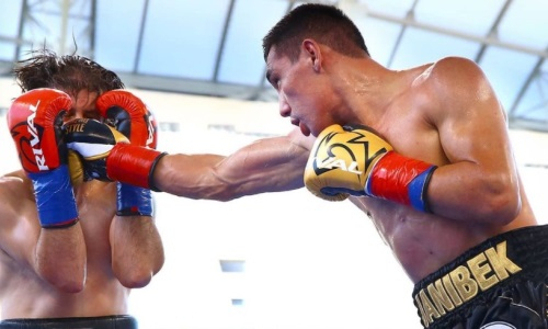«Чувство хищника» казахстанского боксера восхитило зарубежного эксперта