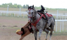 Национальными видами спорта занимаются 55 тысяч человек в Алматинской области