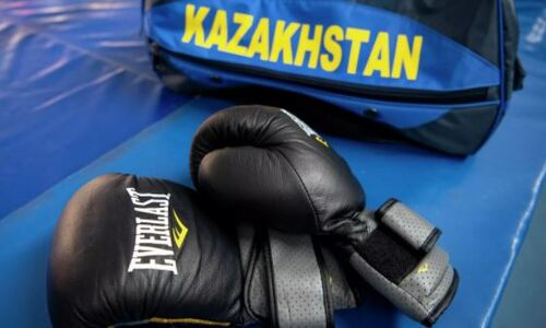 Промоутеры назвали будущего чемпиона мира из Казахстана