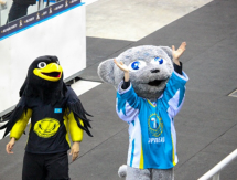 Финал АХЛ стал масштабным событием и превзошел Универсиаду