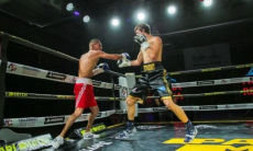 Чемпион WBA из Казахстана «вырубил» соперника в США. Видео