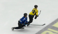 Видеообзор товарищеского матча «Номад» — «Сарыарка» 1:4