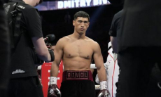 Бивол выбрал флаг на бой за звание чемпиона мира