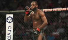Судьи решили судьбу боя Стерлинг — Сехудо за титул чемпиона UFC. Видео