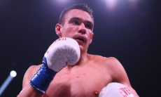 Тима Цзю прооперировали из-за укуса собаки перед боем за титул WBO