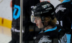 Хоккеист из чемпионата Франции перешёл в «Арлан»