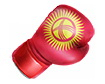 Бокс Кыргызстана